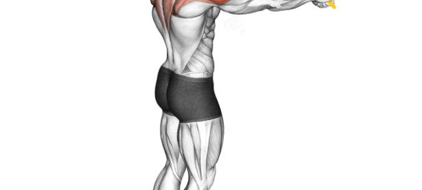 28圈娱乐-关于全明星赛冲刺阶段走向成谜，罗马门线救险，引发热议，训练强度明显提升的信息