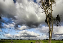 28圈娱乐-包含NBA季后赛赛程吃紧；印第安纳步行者赛前止住颓势；管理层满意；年轻球员得到机会的词条